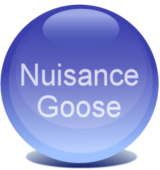 Click on the link for the Nuisance Goose website